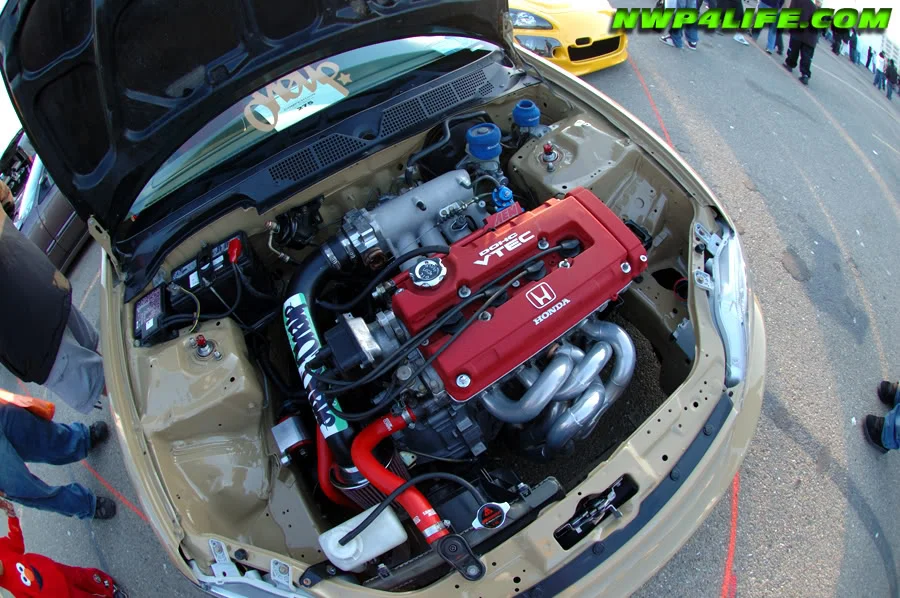 DSC_2427.webp
