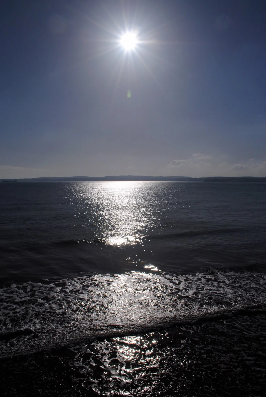 DSC_2739.webp