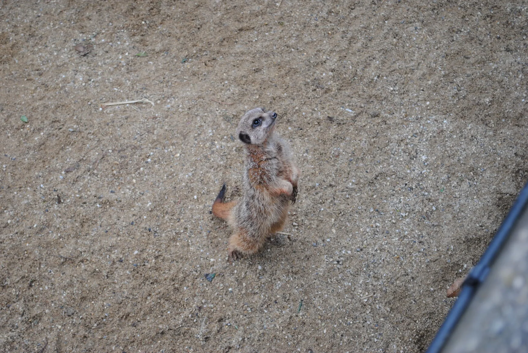 DSC_3116.webp