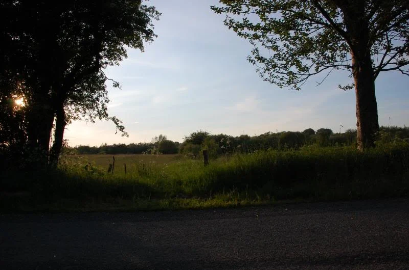 DSC_3187.webp