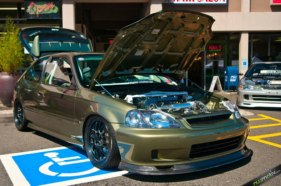 dsc_3893.webp