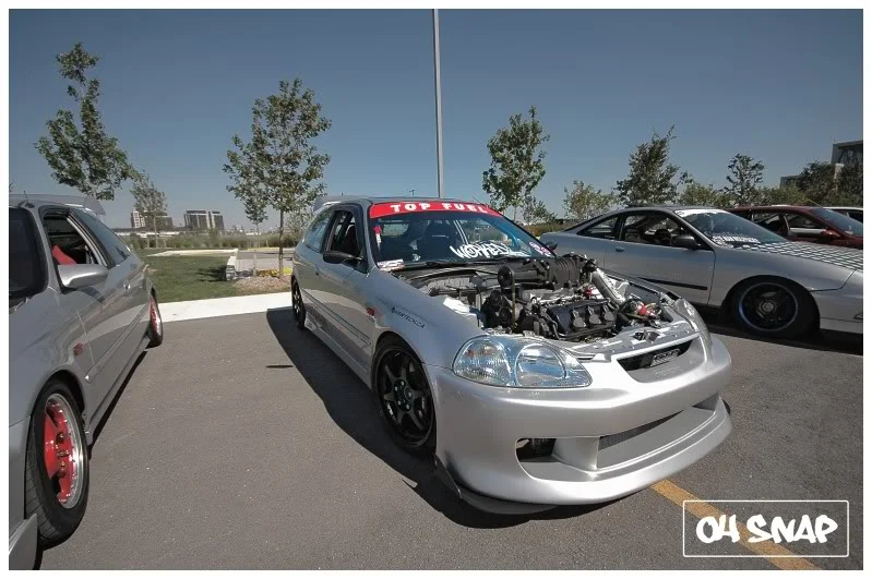 DSC_4002.webp