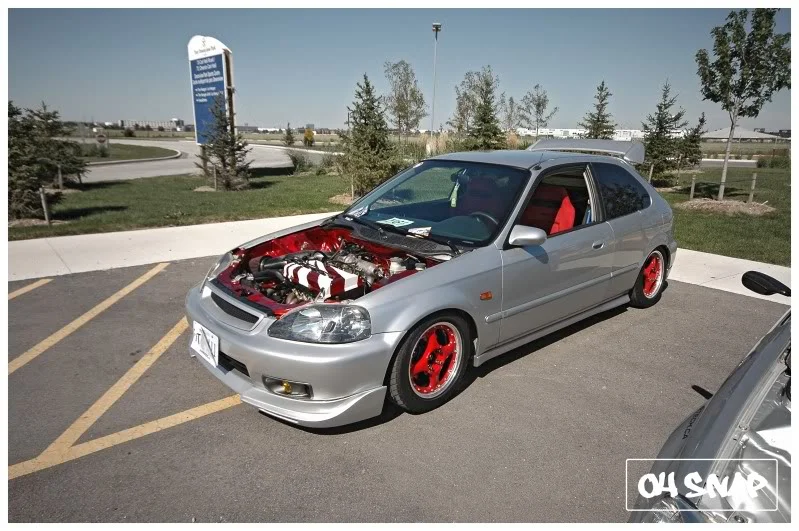 DSC_4003.webp