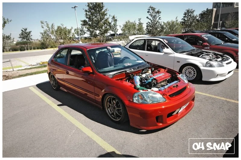 DSC_4006.webp