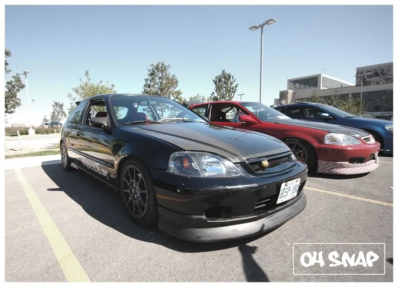 DSC_4011.webp