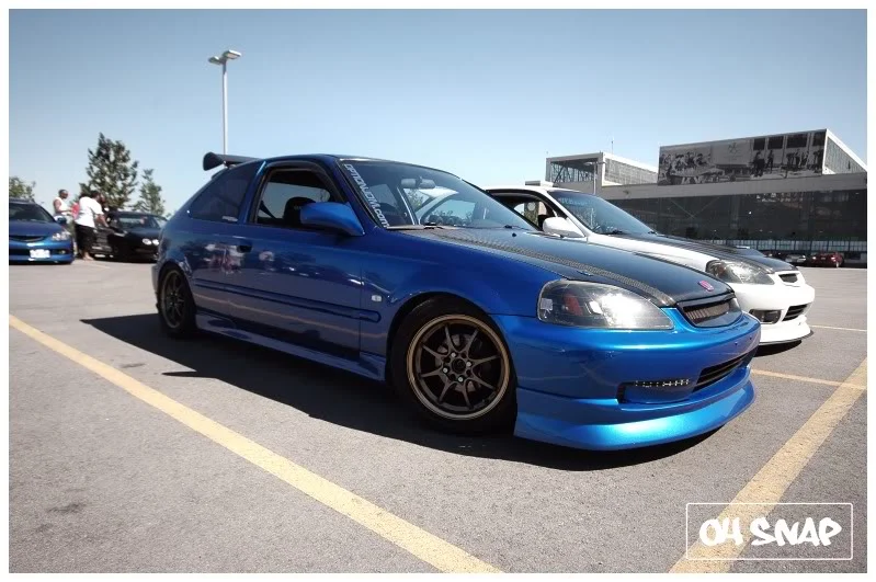 DSC_4016.webp