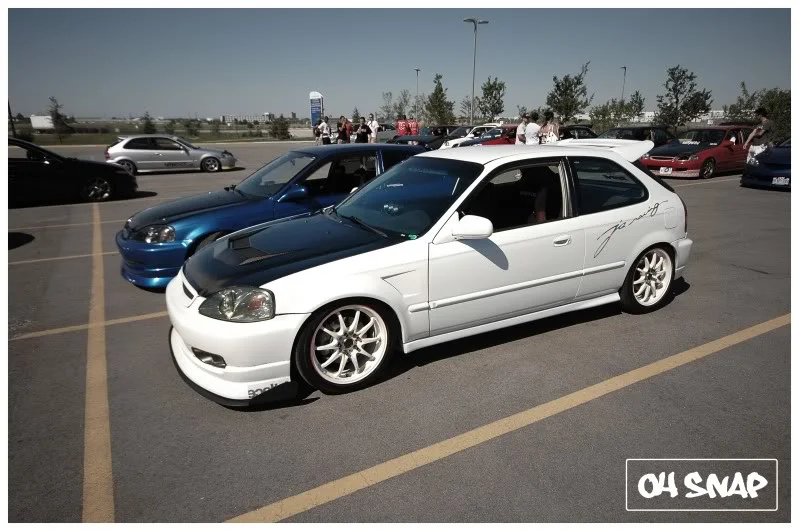 DSC_4017.webp