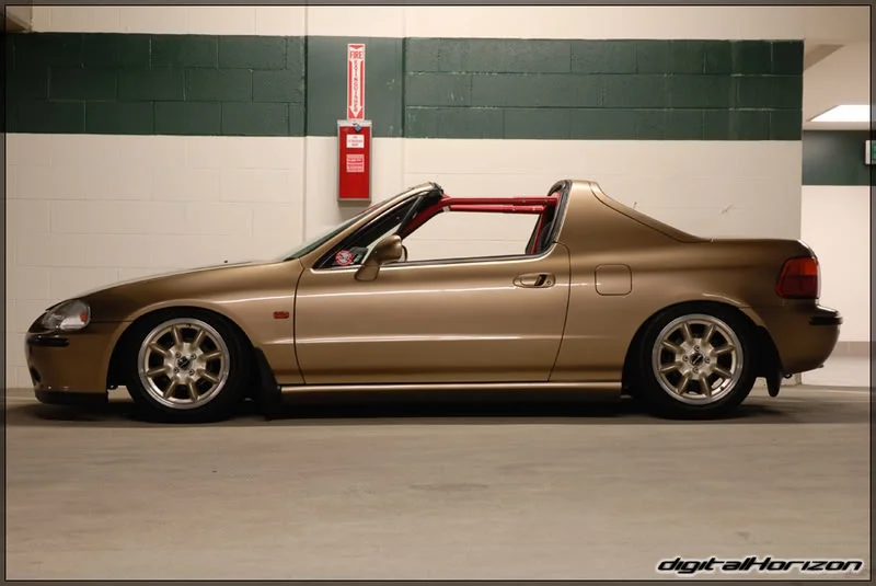 DSC_44487E0.webp