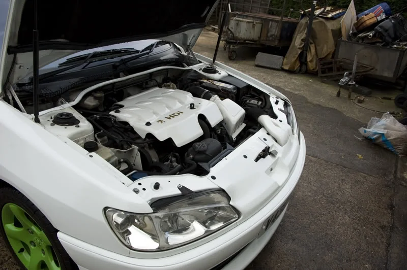 DSC_4868.webp