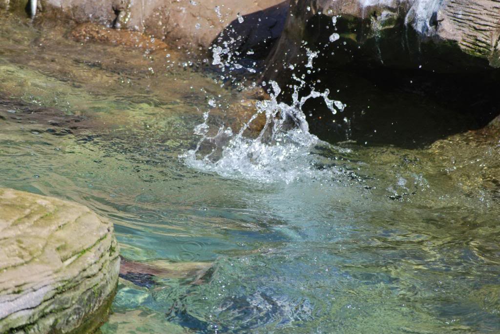 DSC_5247Large_zpsc41703fc.jpg