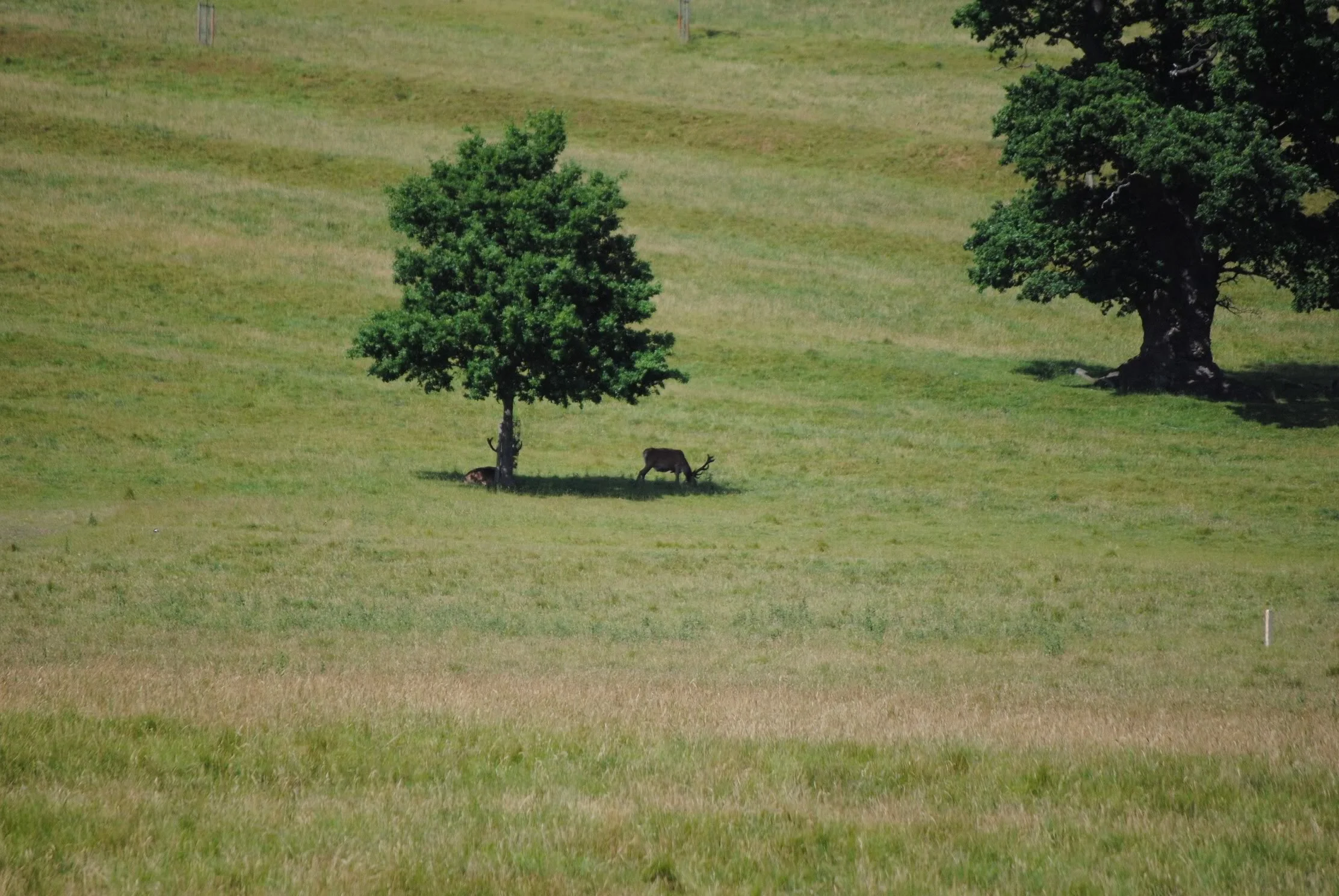 DSC_5269.webp