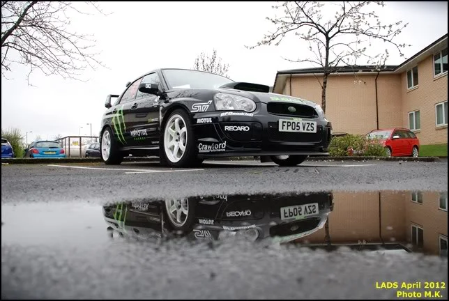 DSC_5559Copy432644.webp