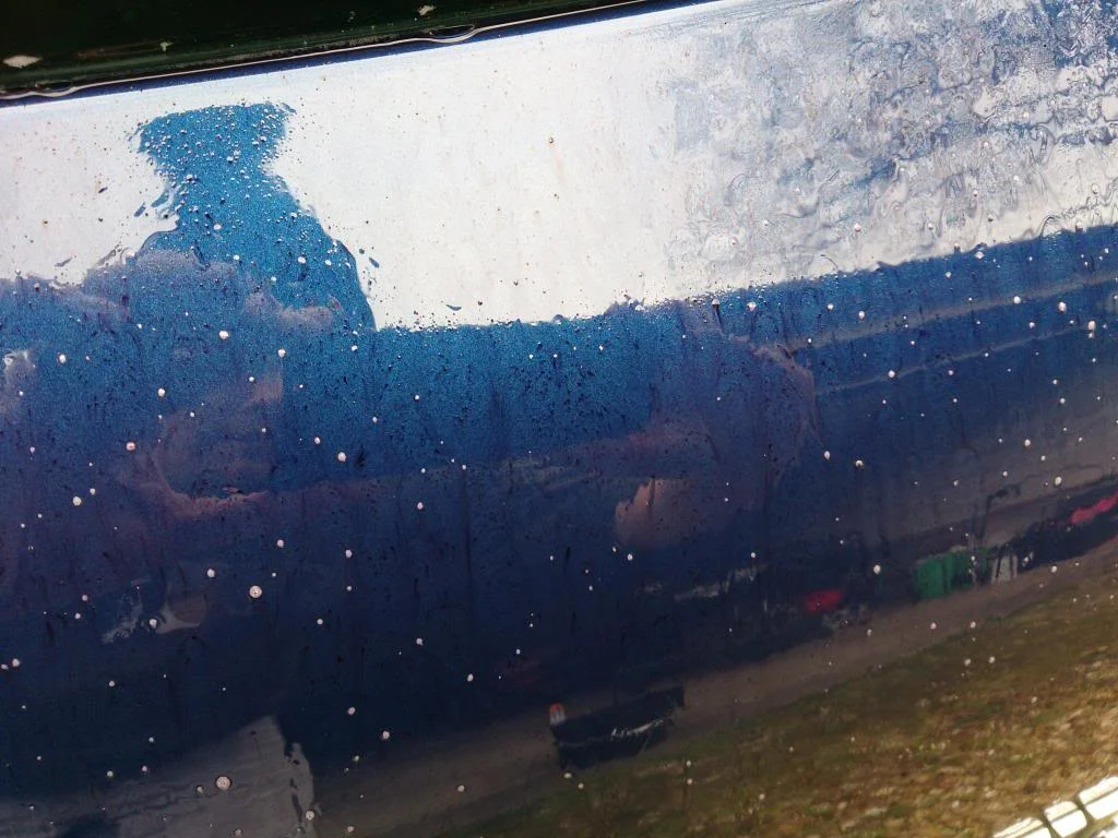 DSC_7416_zps6f5404a8.webp