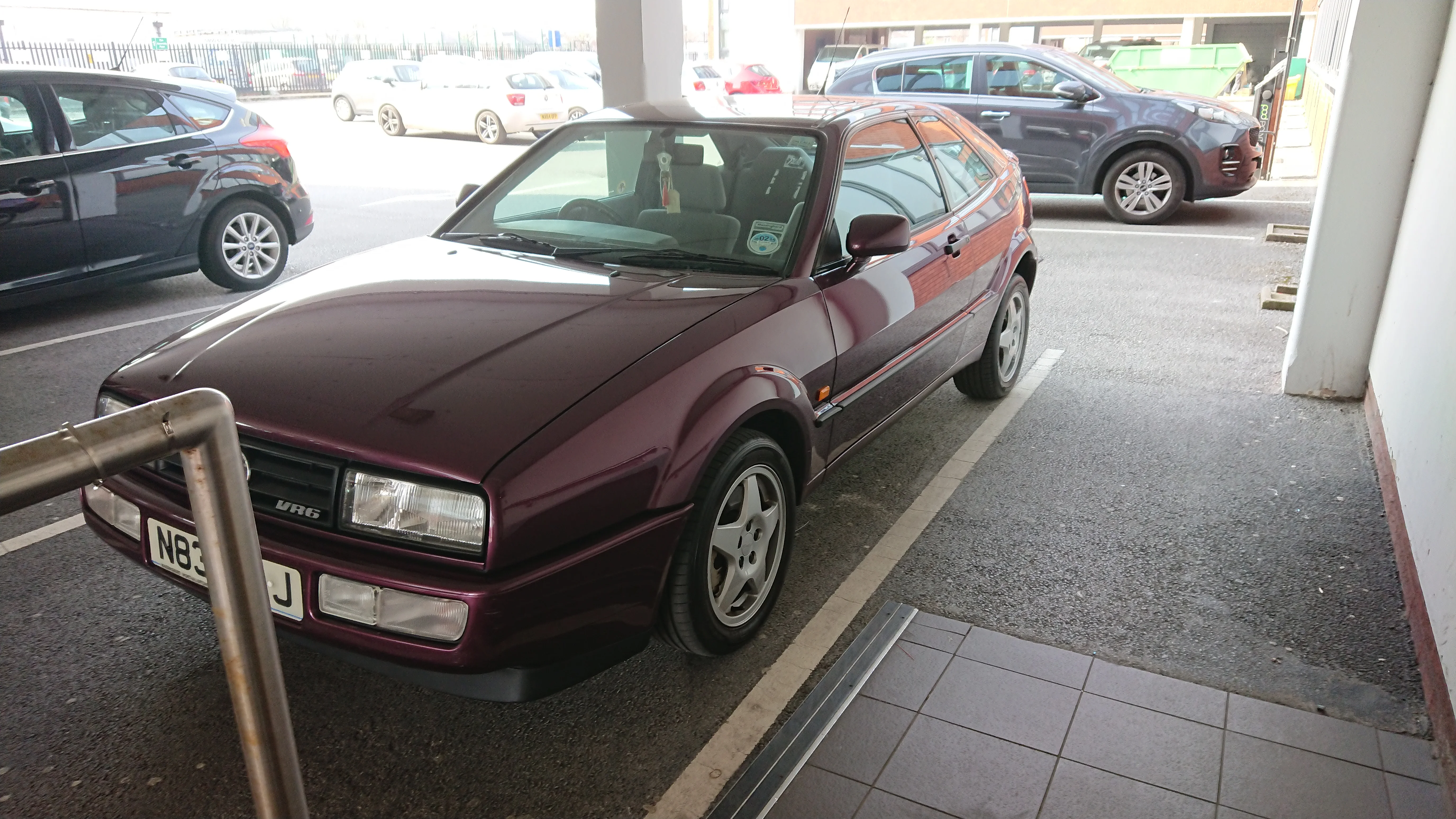 DSC_7549.webp