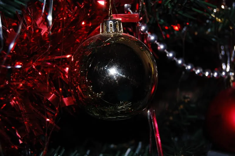 DSC_9059.webp