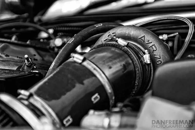 DSC_9321.webp