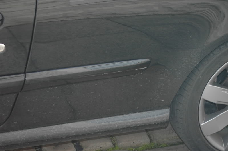 DSC_9524.jpg