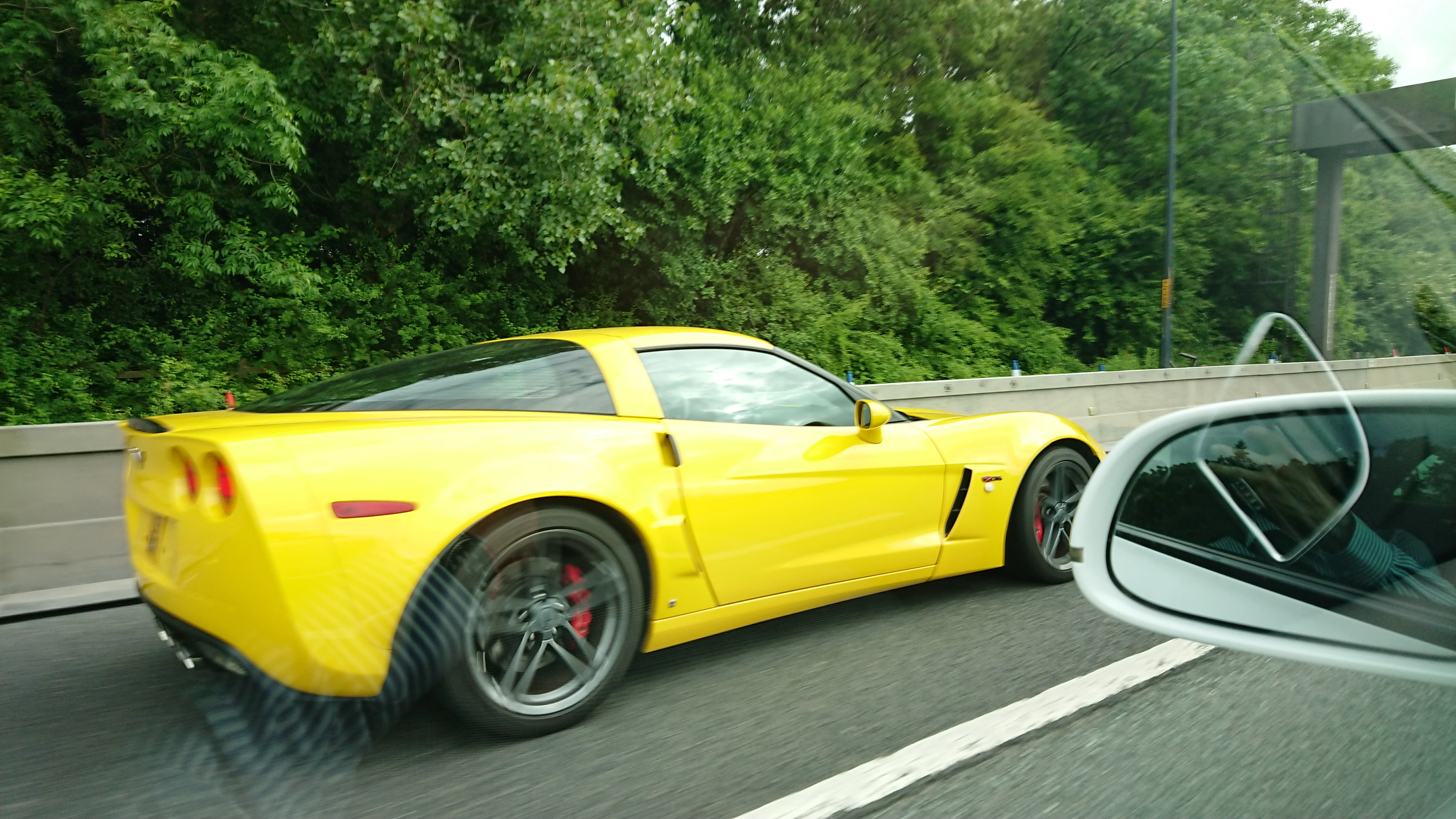 DSC_9933.webp