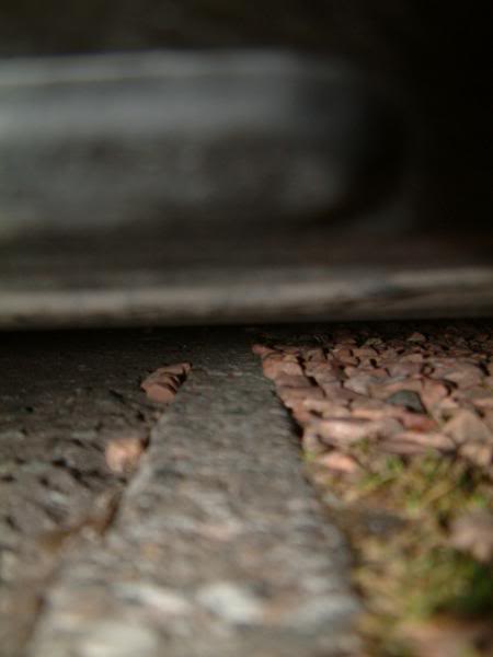 DSCF0002.jpg DSCF0002.jpg