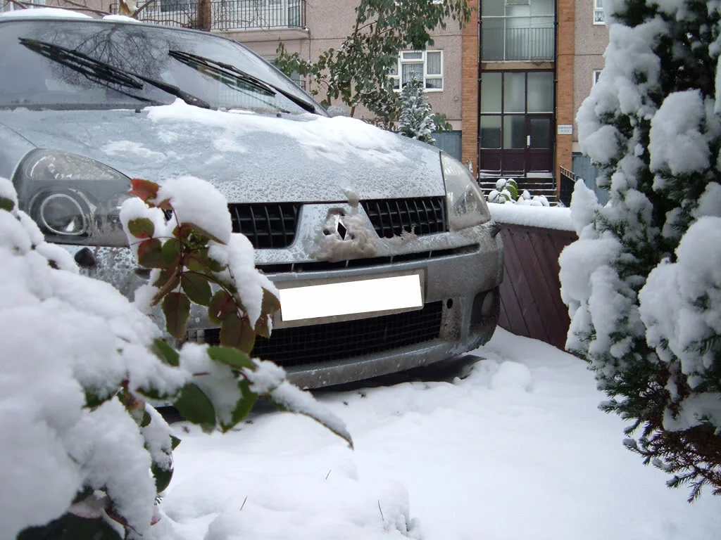 DSCF0004.webp