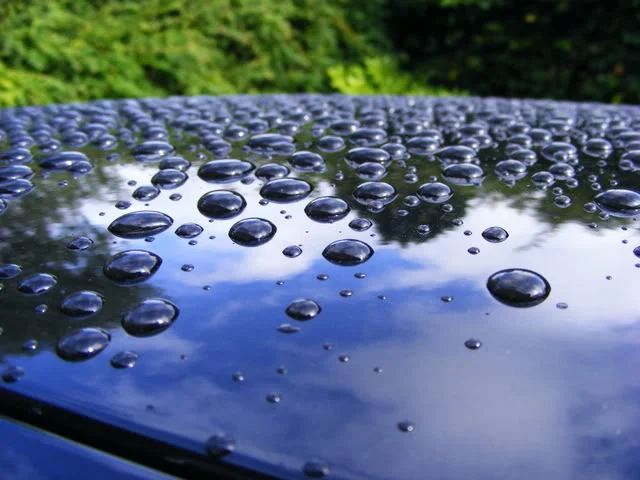 DSCF0004.webp