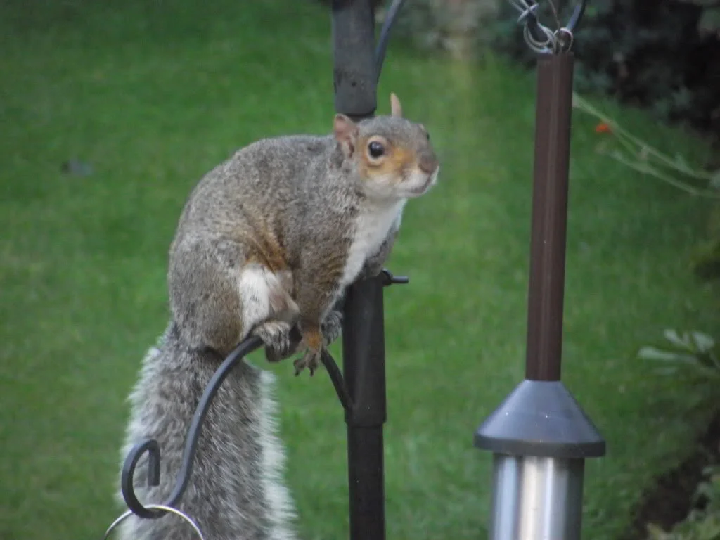 DSCF0016.webp