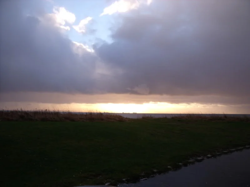 DSCF0048.webp