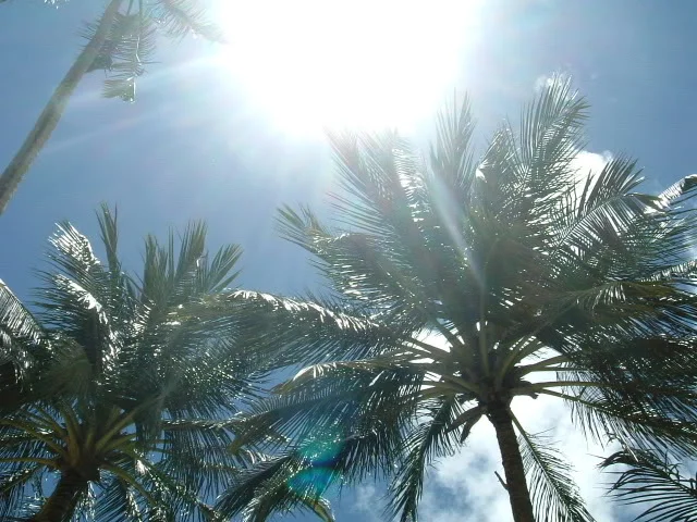 DSCF005.webp