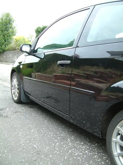 DSCF0060-1.webp
