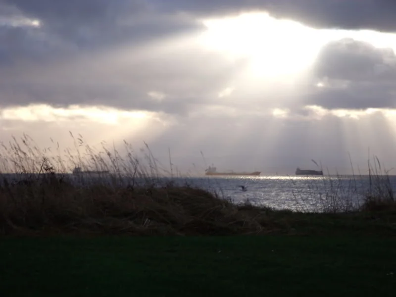 DSCF0063.webp