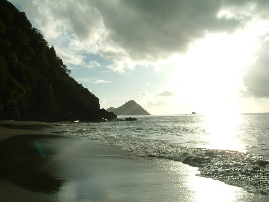 DSCF0072.webp