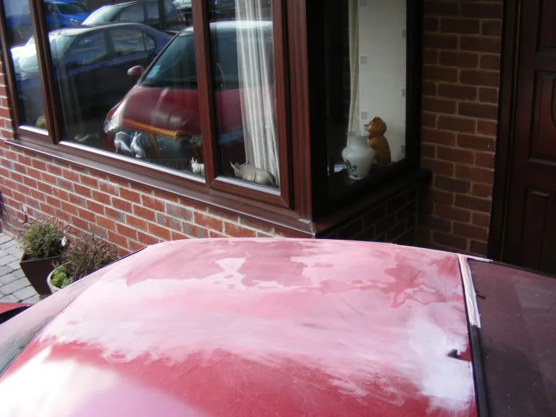 DSCF0085.webp