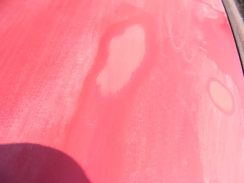 DSCF0090.webp