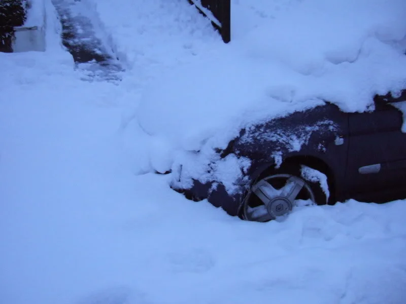 DSCF0091.webp
