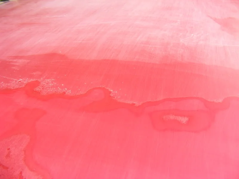 DSCF0091.webp