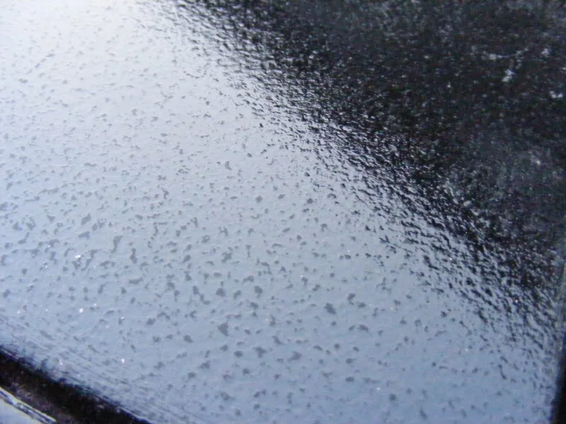 DSCF0104.webp