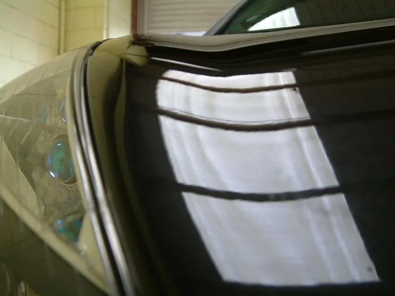 DSCF0123.webp