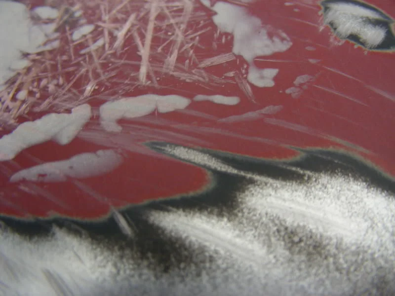 DSCF0135.webp