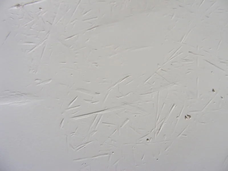 DSCF0140.webp