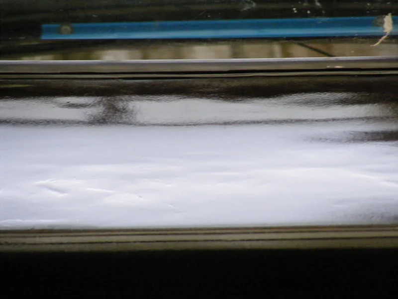 DSCF0149.webp