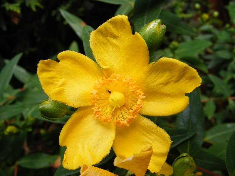DSCF0163.jpg