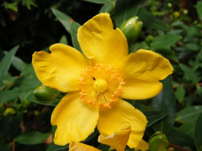 DSCF0163.webp
