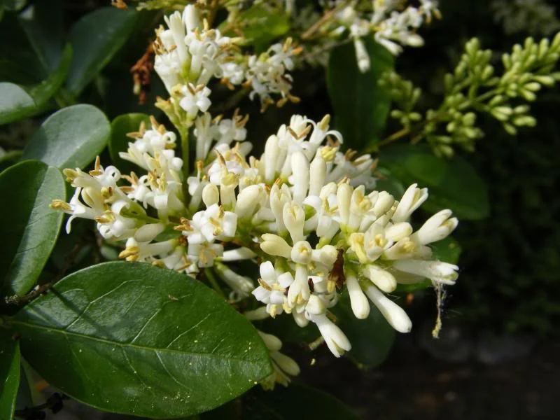 DSCF0164.webp