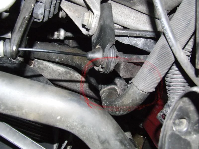 DSCF0169.webp