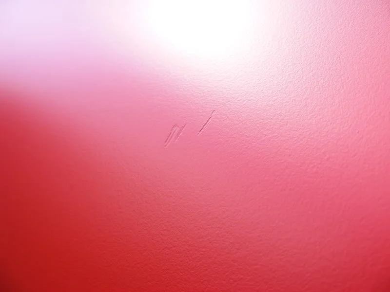 DSCF0174.webp