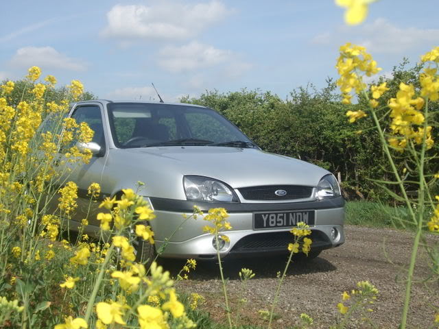DSCF0182-1.jpg