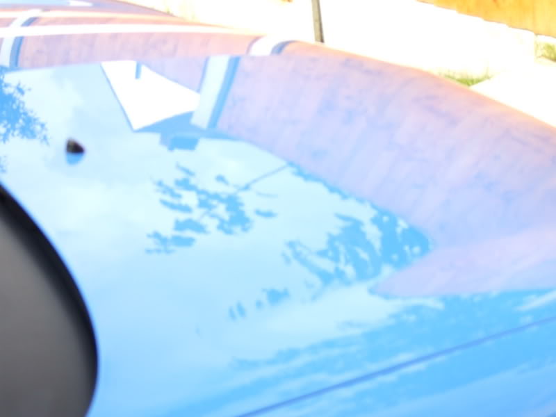 DSCF0204.jpg