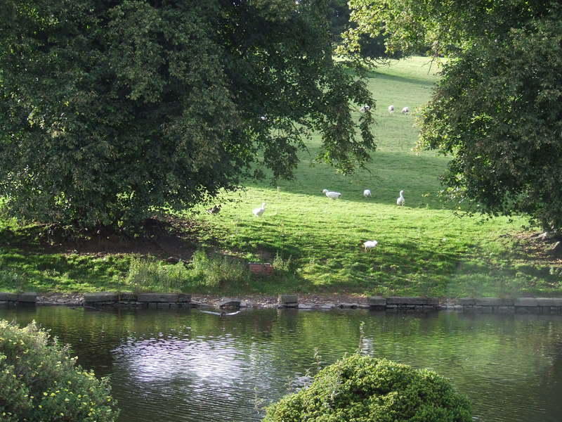 DSCF0207.jpg