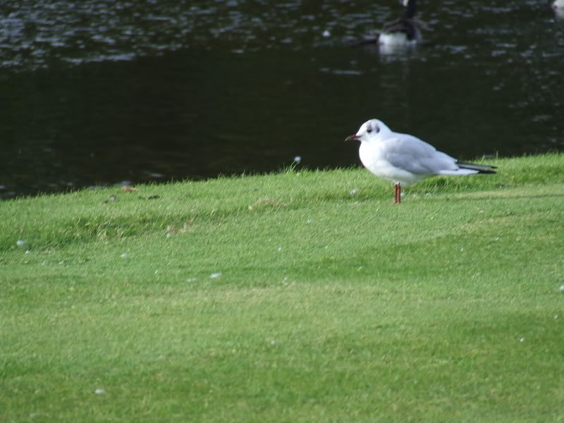 DSCF0212.jpg