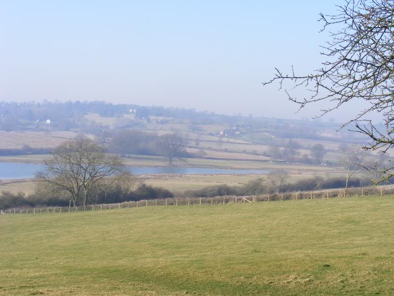 DSCF0213.jpg DSCF0213.jpg